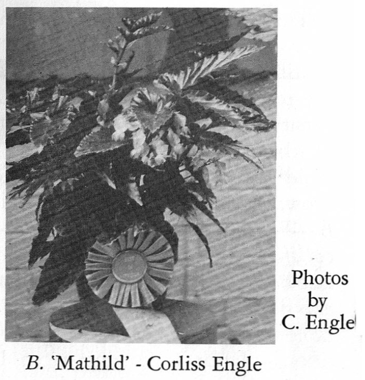 B. ‘Mathild’
